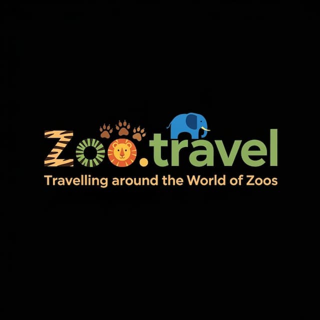 InfographsAI Logo Variation